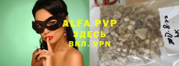 спайс Инта
