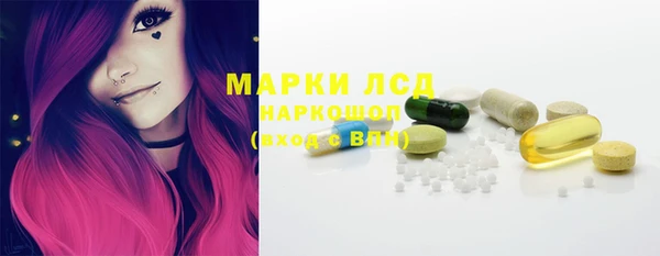 спайс Инта