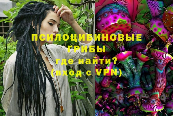 герыч Иннополис
