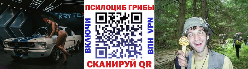 Галлюциногенные грибы GOLDEN TEACHER  Купить закладки  Вытегра 